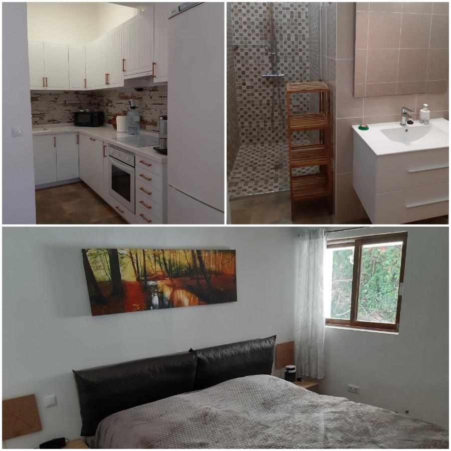 Schoene Wohnung In Puerto De La Cruz Mit Garten. מראה חיצוני תמונה